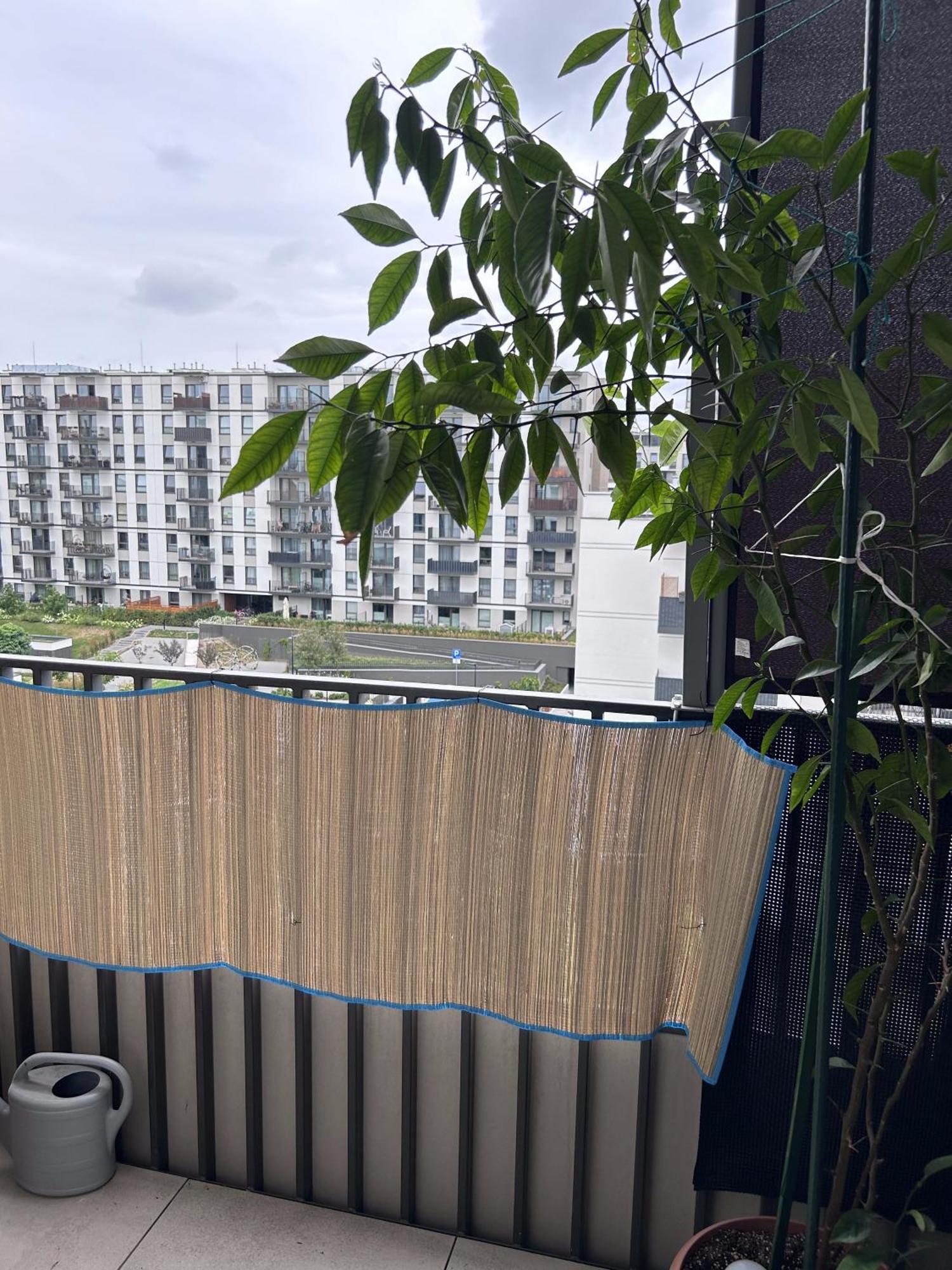 Lägenhet Jasny Apartament